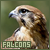 Falcons Fan