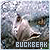 Buckbeak Fan