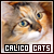 Calico Cats Fan