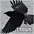 Crows Fan