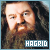 Rubeus Hagrid Fan