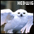 Hedwig Fan