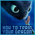 How to Train Your Dragon Fan