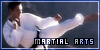 Martial Arts Fan