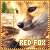 Red Fox Fan